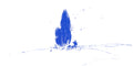 Miniature Collection — Blue Series